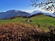 48 Verde pianoro pascolivo di Baita Campo (1442 m) con vista in Menna a sx e Alben a dx